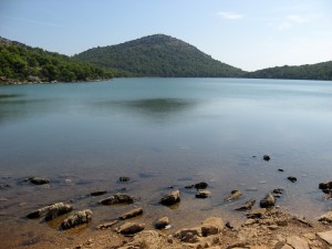 telascica